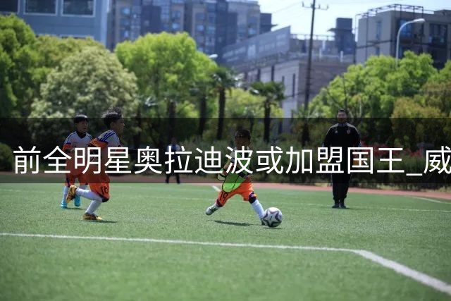 前全明星奥拉迪波或加盟国王 威少退役后机会增大